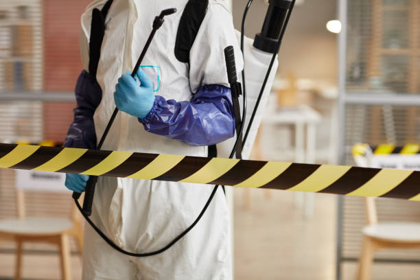 Professional Sewage Cleanup technician working in Michigantown, IN